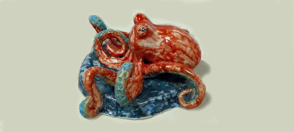 8 Arm Octopus 1024x461