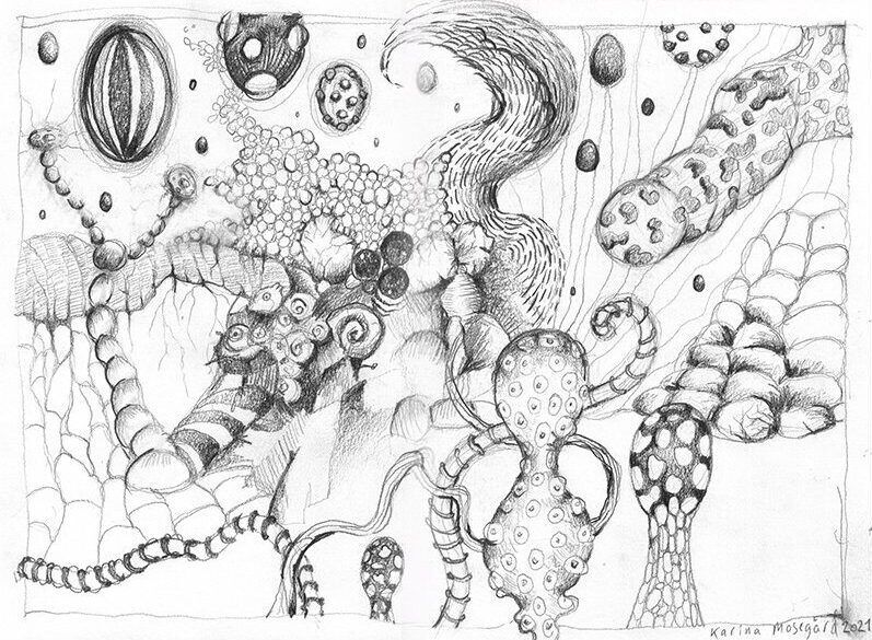 Drawings & Graphic Prints web automatic drawing 1 2flettet2024lille