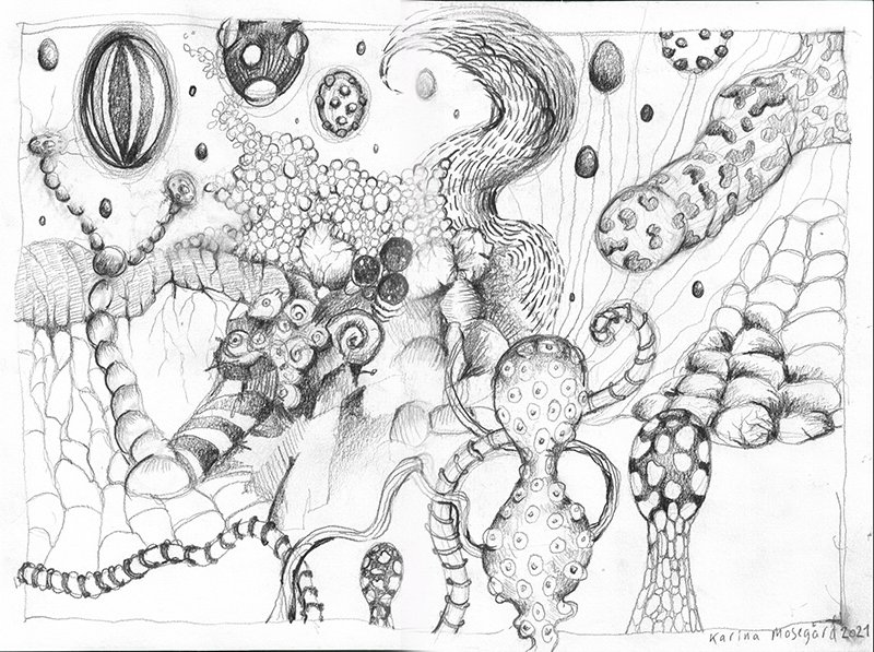 web automatic drawing 1 2flettet2024lille